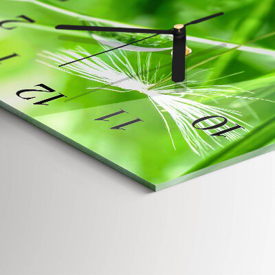 Wanduhr aus glas Gras