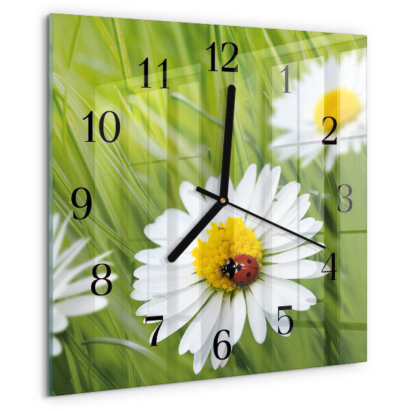 Wanduhr aus glas Gänseblümchen