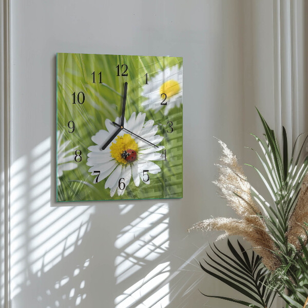 Wanduhr aus glas Gänseblümchen