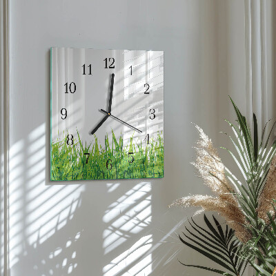 Wanduhr aus glas Gras