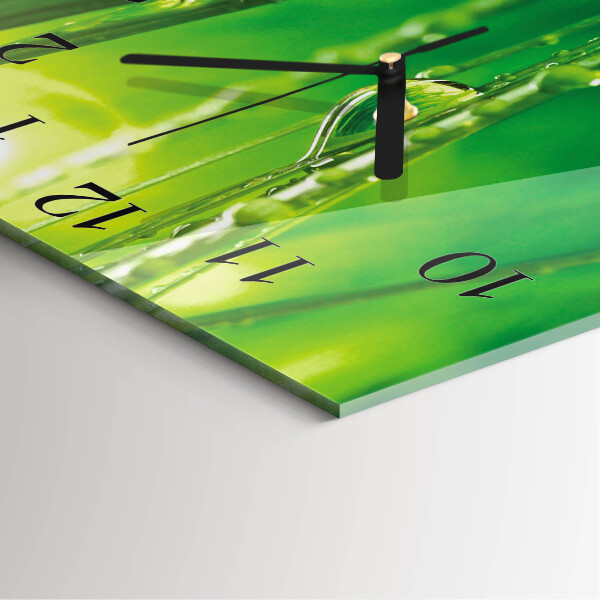 Wanduhr aus glas Grastropfen