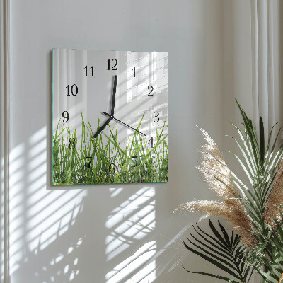Wanduhr aus glas Gras