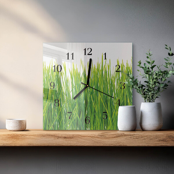 Wanduhr aus glas Gras