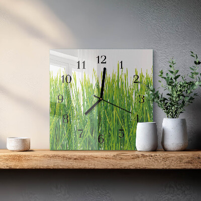 Wanduhr aus glas Gras