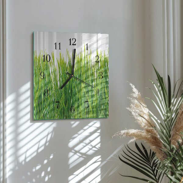 Wanduhr aus glas Gras