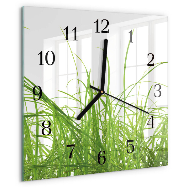 Wanduhr aus glas Gras