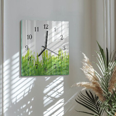 Wanduhr aus glas Gras