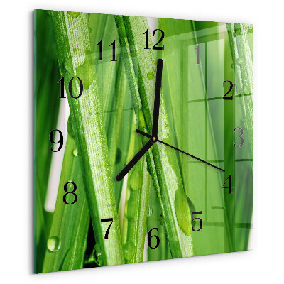 Wanduhr aus glas Gras