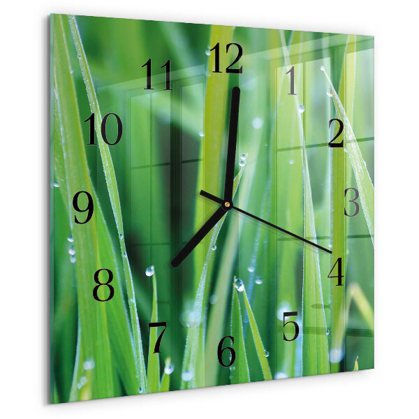 Wanduhr aus glas Gras