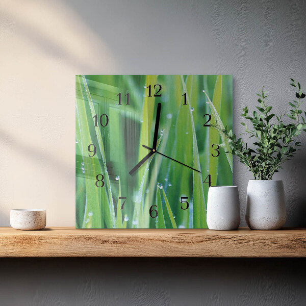 Wanduhr aus glas Gras