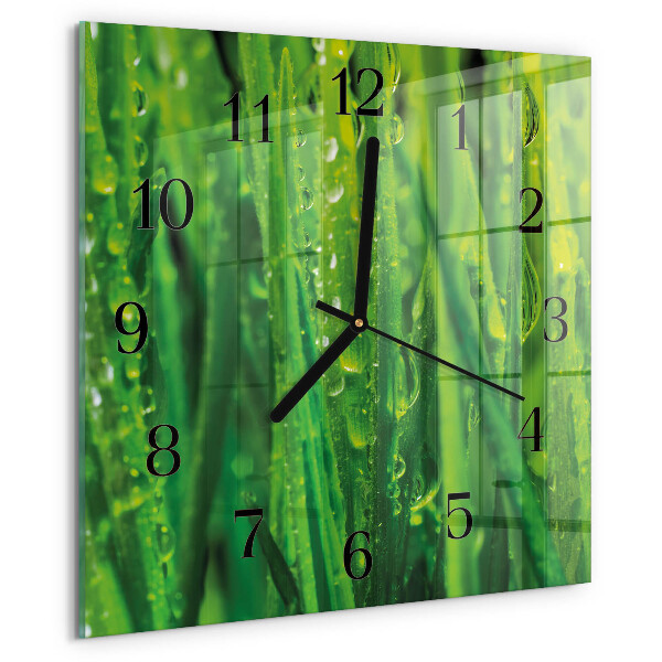 Wanduhr aus glas Gras