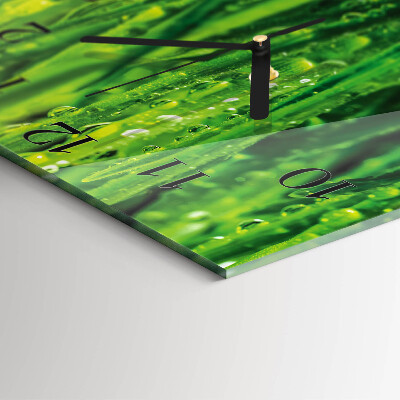 Wanduhr aus glas Gras