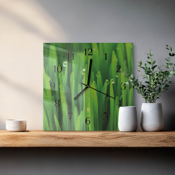 Wanduhr aus glas Gras