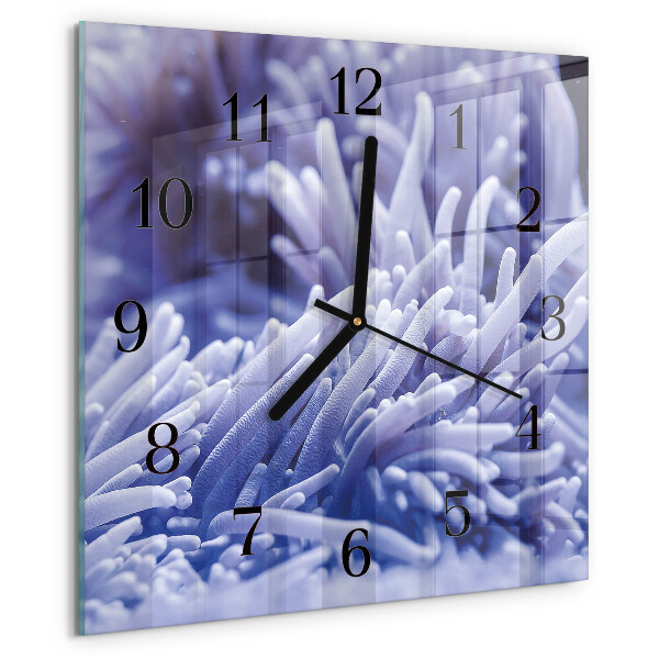 Wanduhr aus glas Anemone