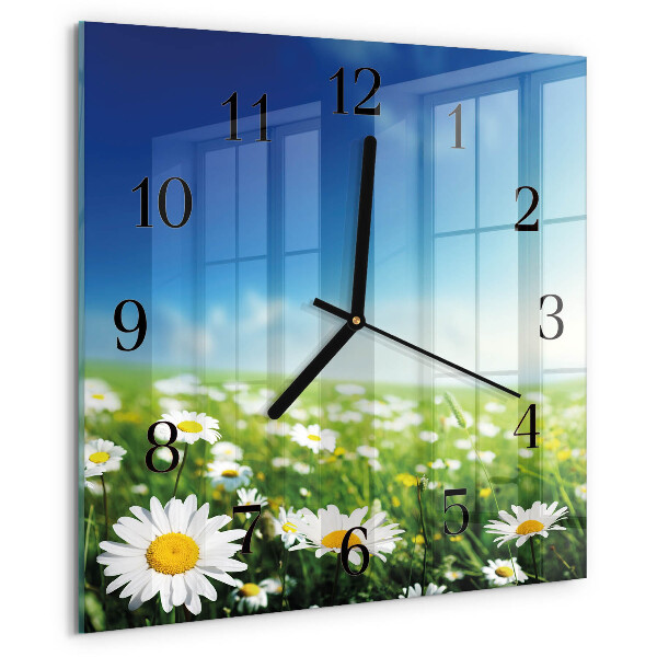 Wanduhr aus glas Wiese