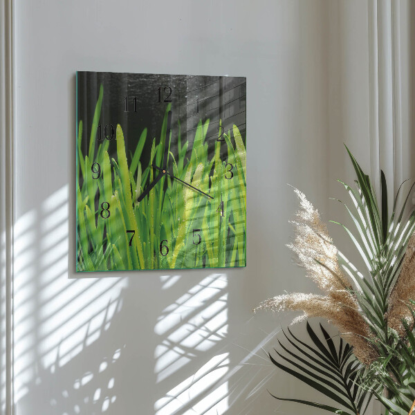 Wanduhr aus glas Gras