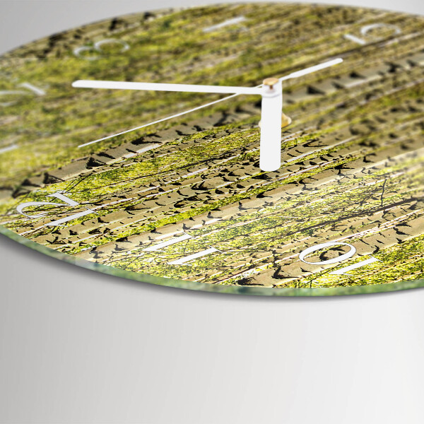 Glas wanduhr Birkenwald