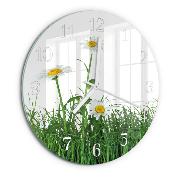 Glas wanduhr Gänseblümchen