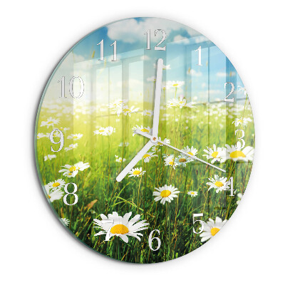 Glas wanduhr Gänseblümchen