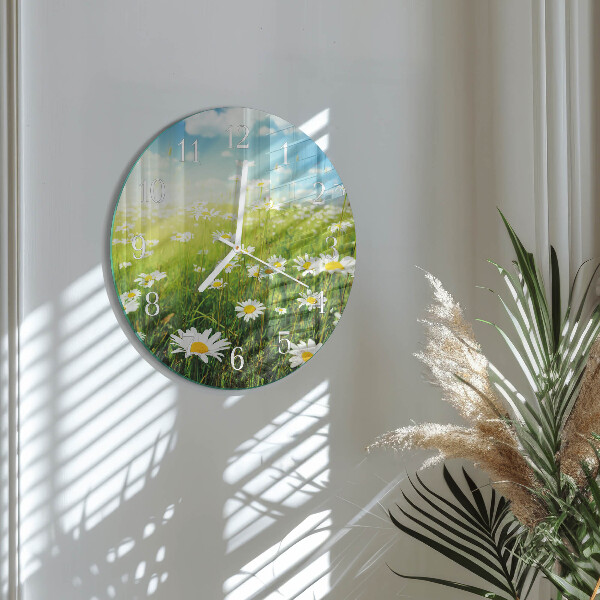 Glas wanduhr Gänseblümchen