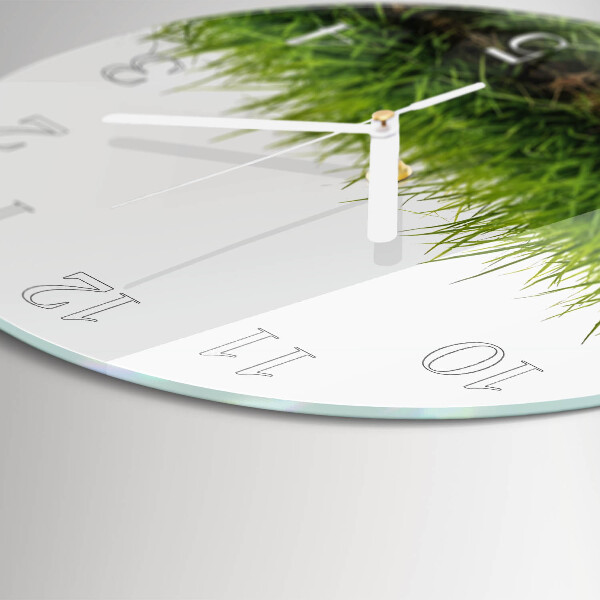 Glas wanduhr Gras