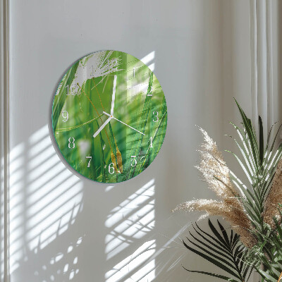 Glas wanduhr Gras