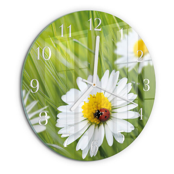 Glas wanduhr Gänseblümchen