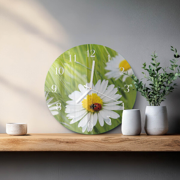 Glas wanduhr Gänseblümchen
