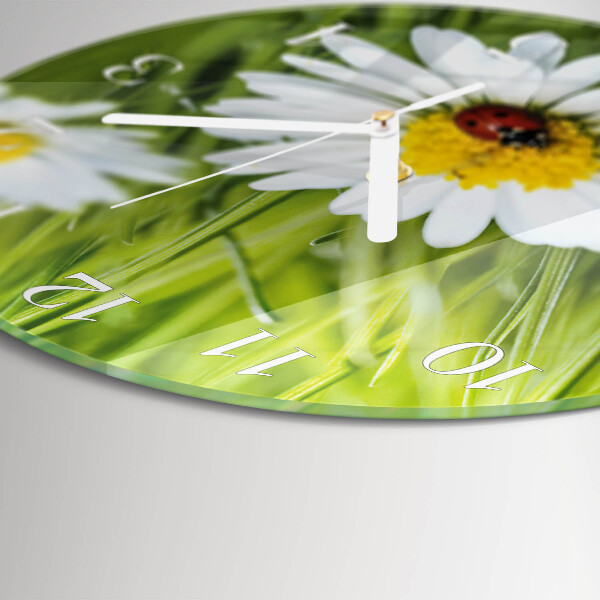 Glas wanduhr Gänseblümchen