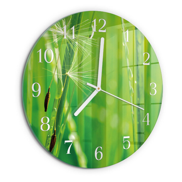 Glas wanduhr Gras