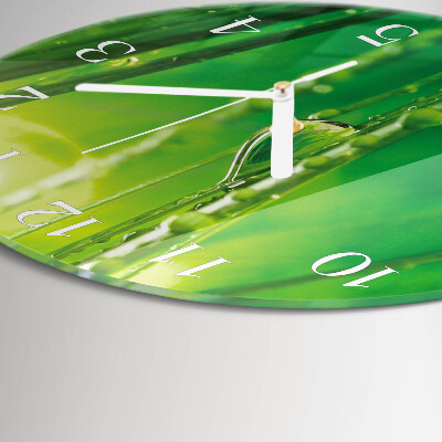 Glas wanduhr Grastropfen