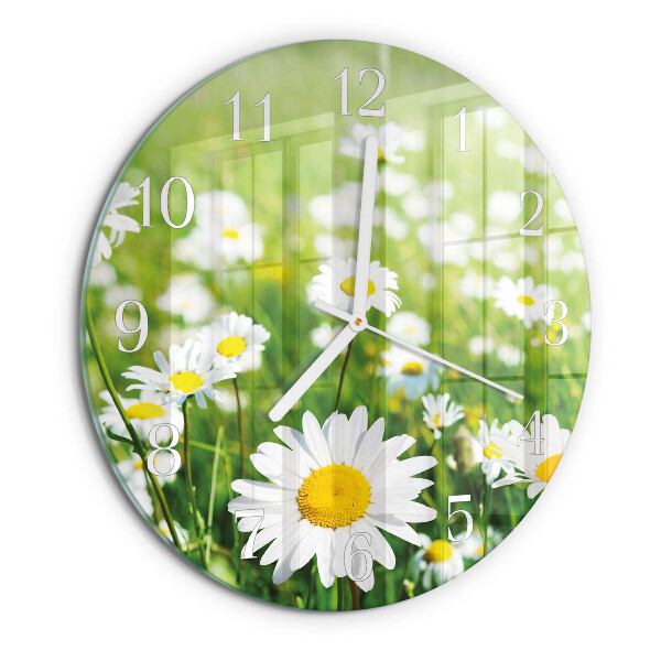 Glas wanduhr Gänseblümchen