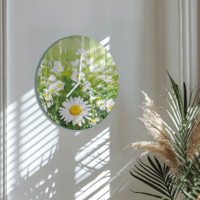 Glas wanduhr Gänseblümchen