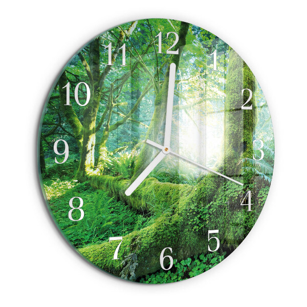 Glas wanduhr Waldmoos