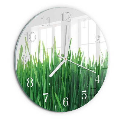 Glas wanduhr Gras