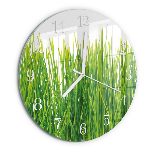 Glas wanduhr Gras