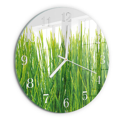 Glas wanduhr Gras