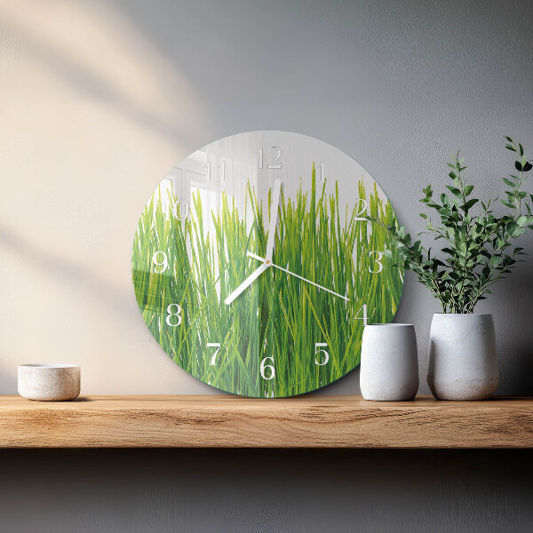 Glas wanduhr Gras