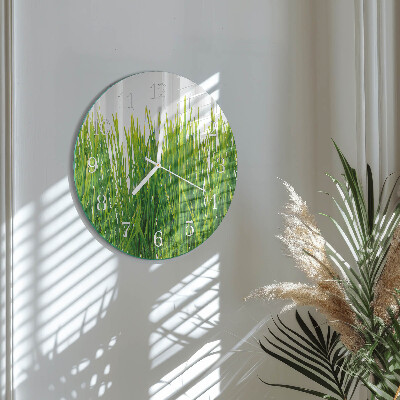 Glas wanduhr Gras