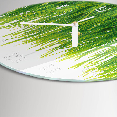Glas wanduhr Gras