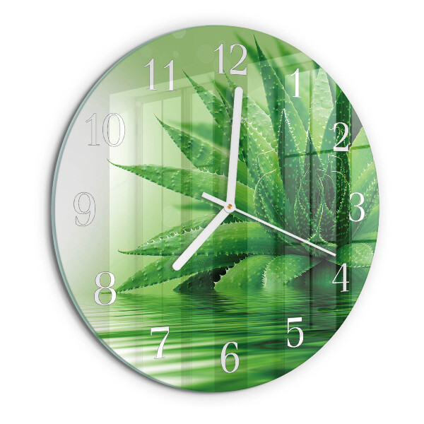 Glas wanduhr Aloe