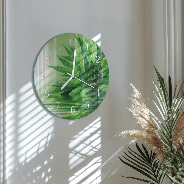 Glas wanduhr Aloe