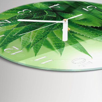 Glas wanduhr Aloe