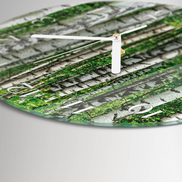 Glas wanduhr Birken
