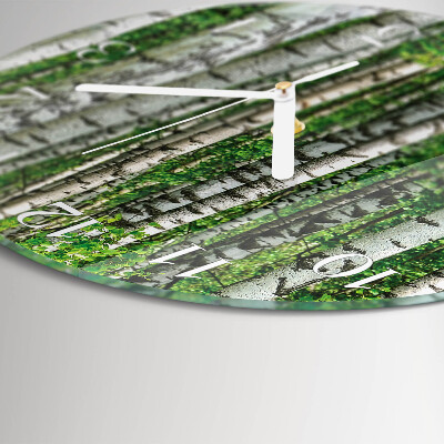 Glas wanduhr Birken