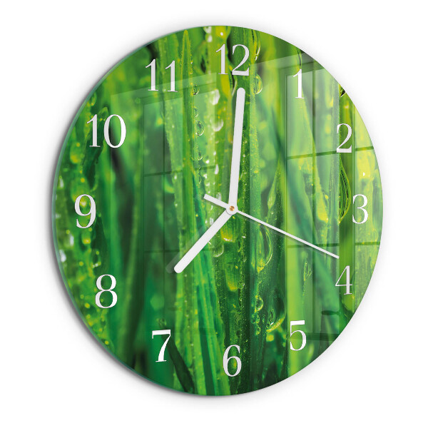 Glas wanduhr Gras