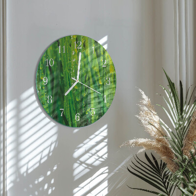 Glas wanduhr Gras