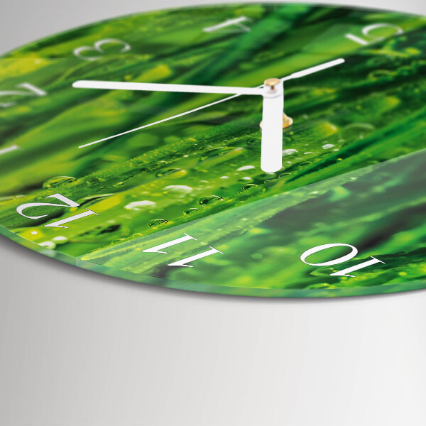 Glas wanduhr Gras