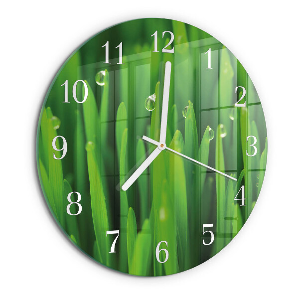 Glas wanduhr Gras