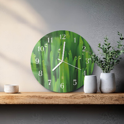 Glas wanduhr Gras